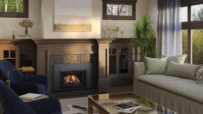 Gas Fireplace Insert